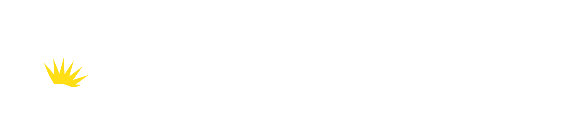 Conservative_Logo